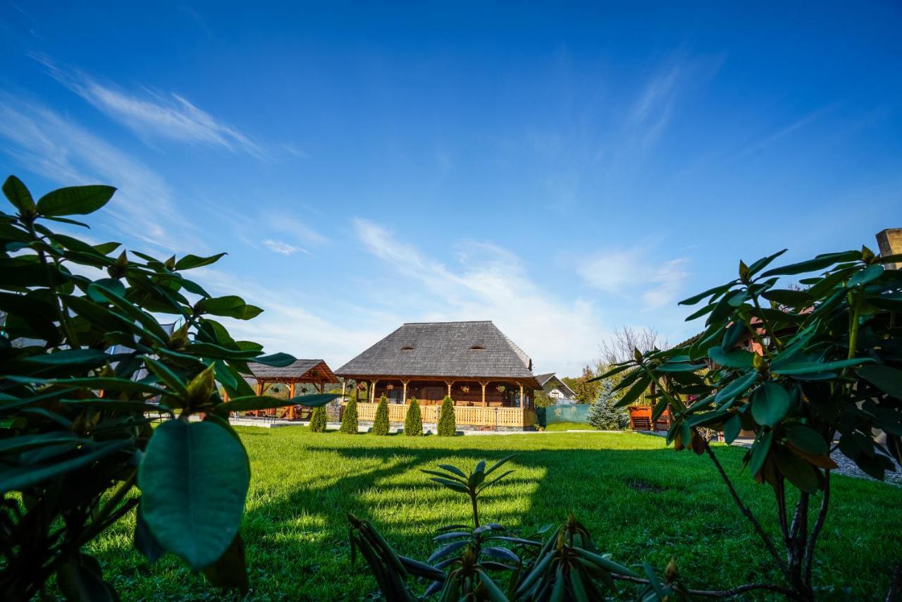 Casa Eli Hotel Viseu de Sus Bagian luar foto